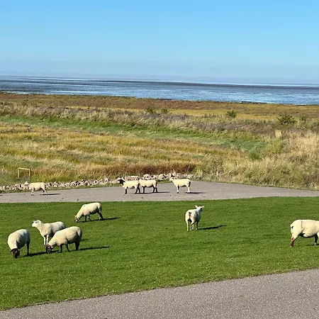 Lenis Deichblick アパート