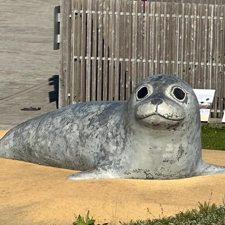 Lenis Deichblick * Friedrichskoog