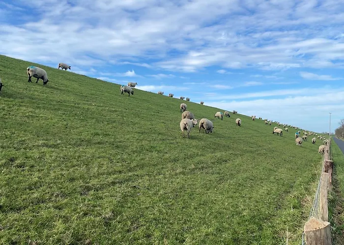 Appartement Lenis Deichblick Friedrichskoog