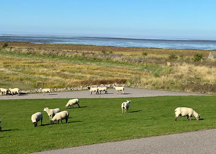 Lenis Deichblick Appartement